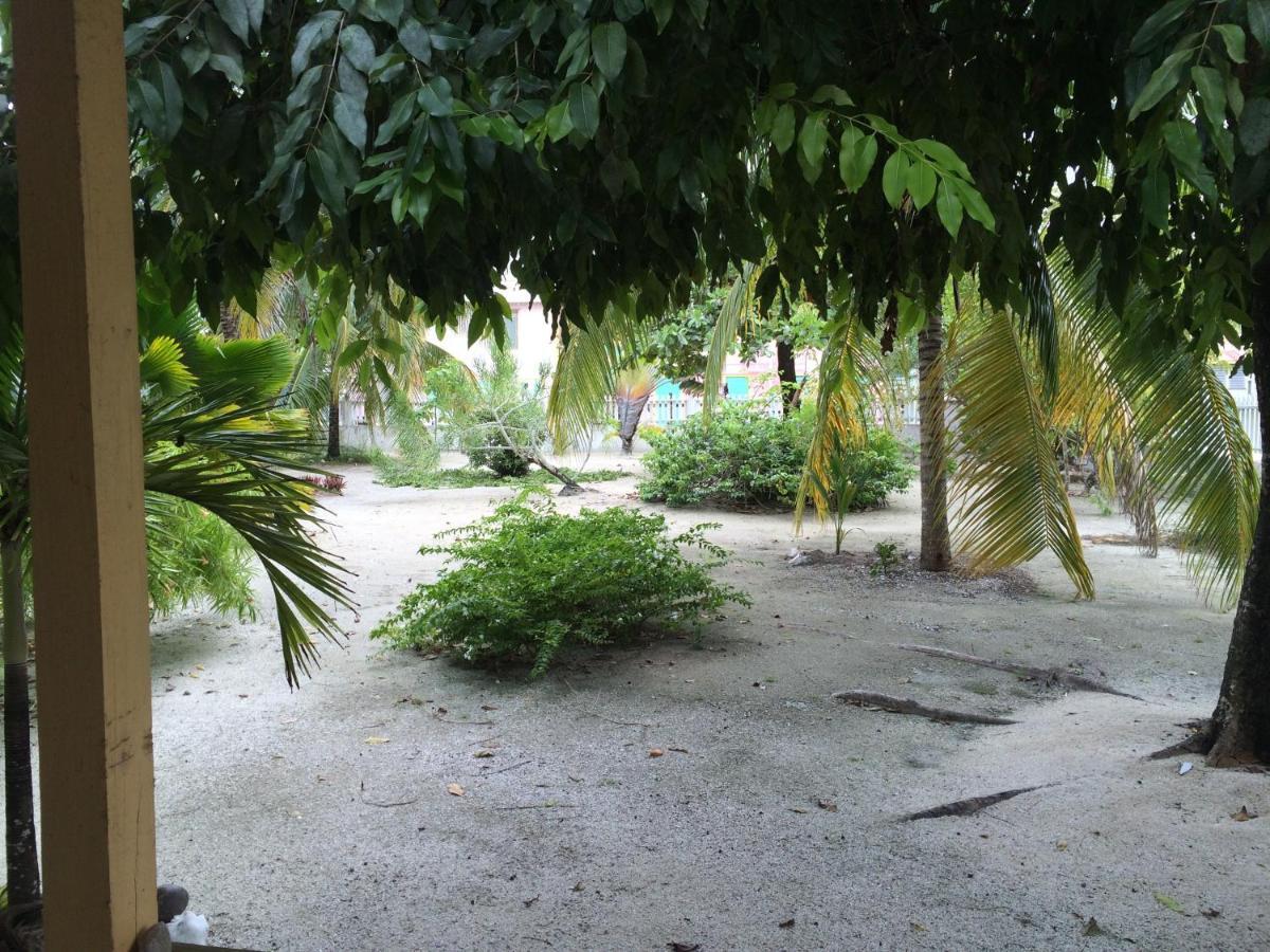 Hotel Jaguar Morning Star Caye Corker Pokoj fotografie